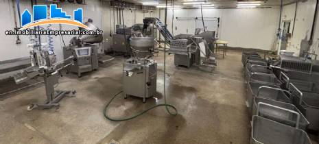 Industrial plant/refrigeration processing plant for deboning and processing meats and sausages.
